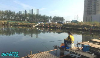 北京釣魚野趣 野釣營(yíng)，垂釣愛好者的天堂